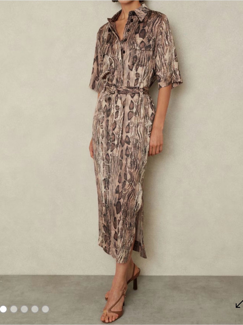 🆕 REISS Farah Snake Print Belted Midi Dress in Neutral - women’s 12